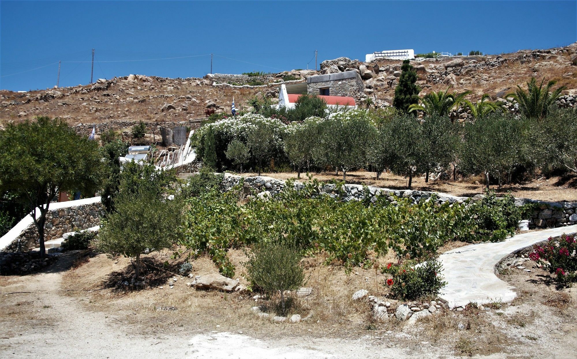 Villa Mykonos Moussa Agios Ioannis Diakoftis Exterior foto